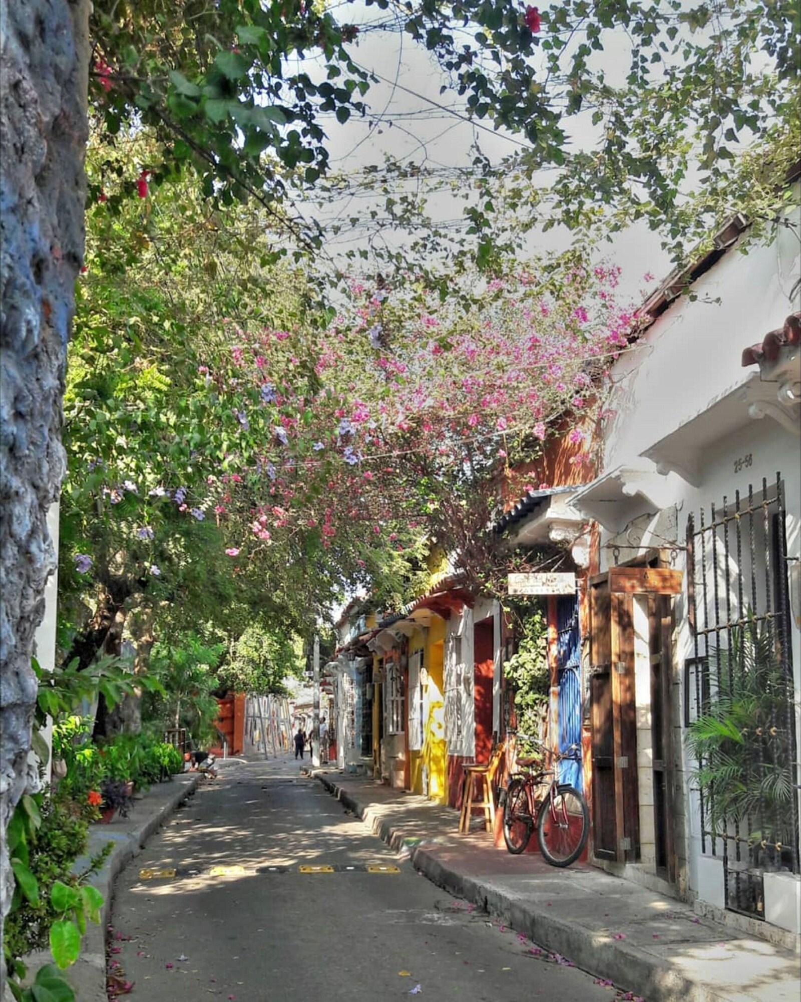 Varios R-d1 Boutique Hotel Room In Gethsemane With Breakfast And Wifi