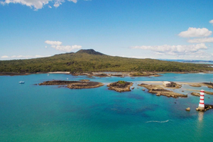 Activity - Discover Volcanic Rangitoto Island - Round-Trip Ferry