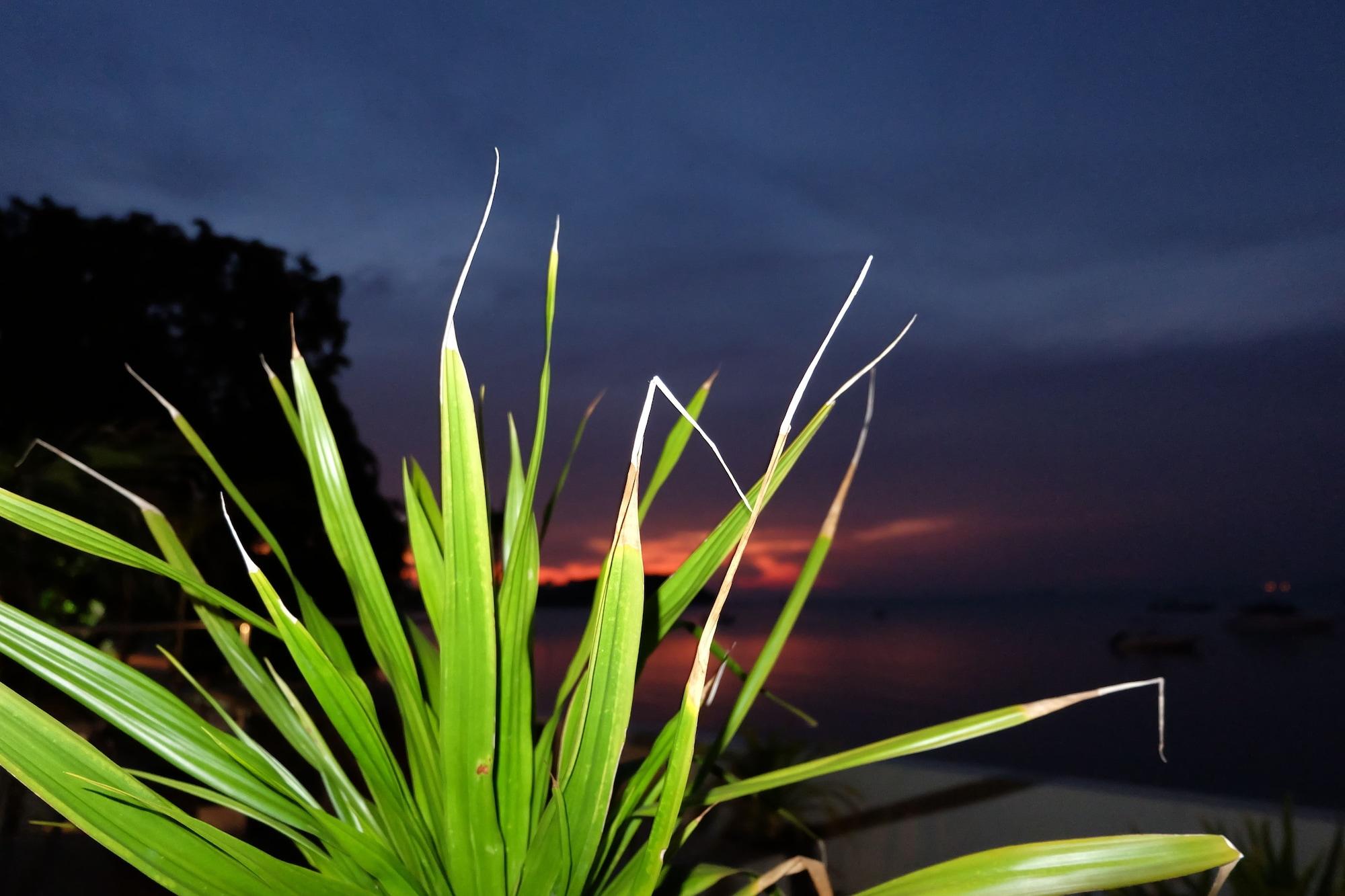 Playa The Boardroom Beach Bungalows