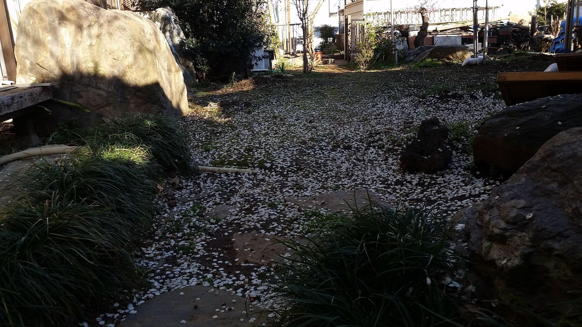 Comodidades del Alojamiento Higashi Matsudo Home Narita AP Direct