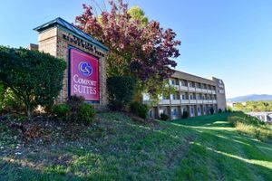 Alojamiento - Comfort Suites Inn at Ridgewood Farm