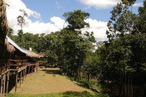 Alojamiento - Jacamar Lodge Expeditions