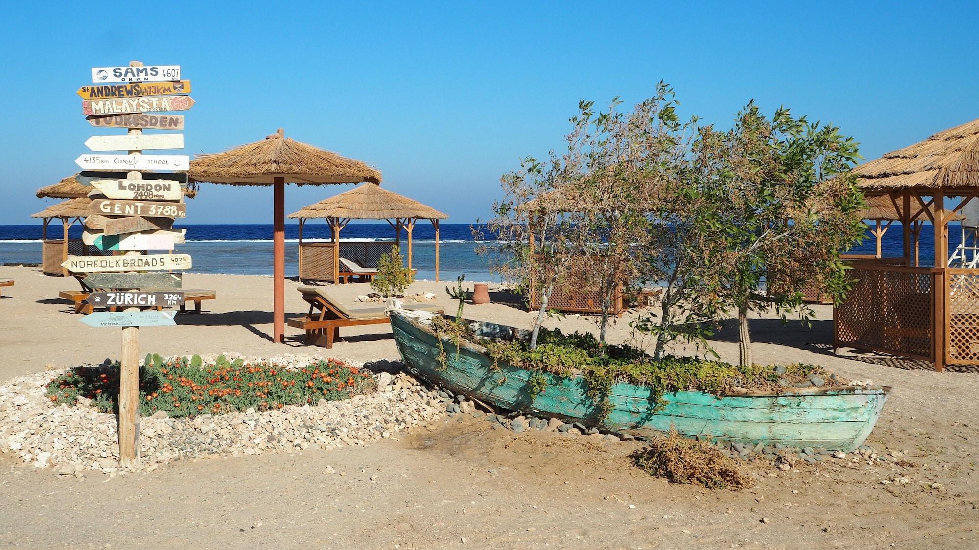 Playa Roots
