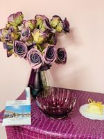 Alojamiento - Hotel dei Pittori