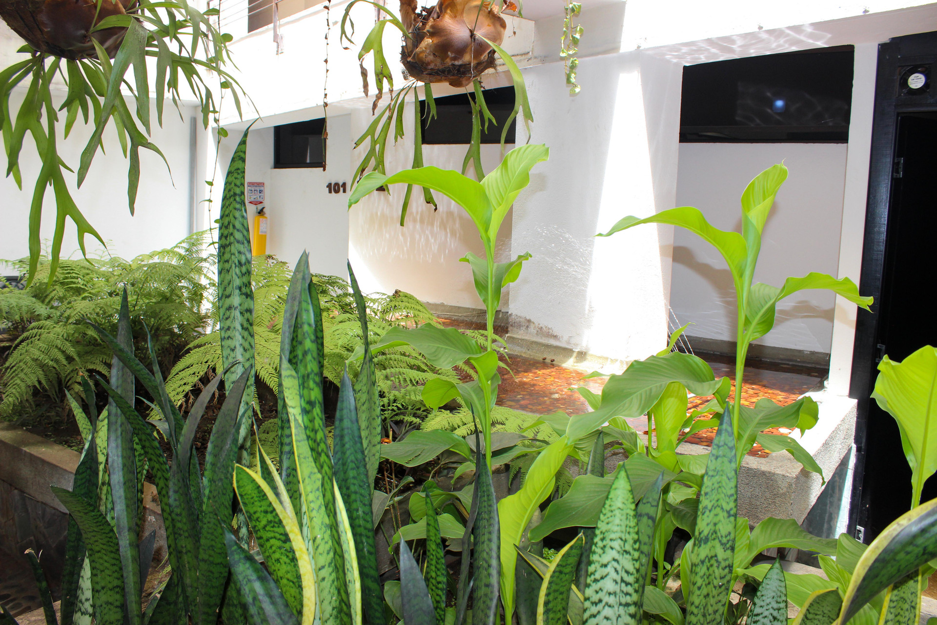 Varios Hotel Natural
