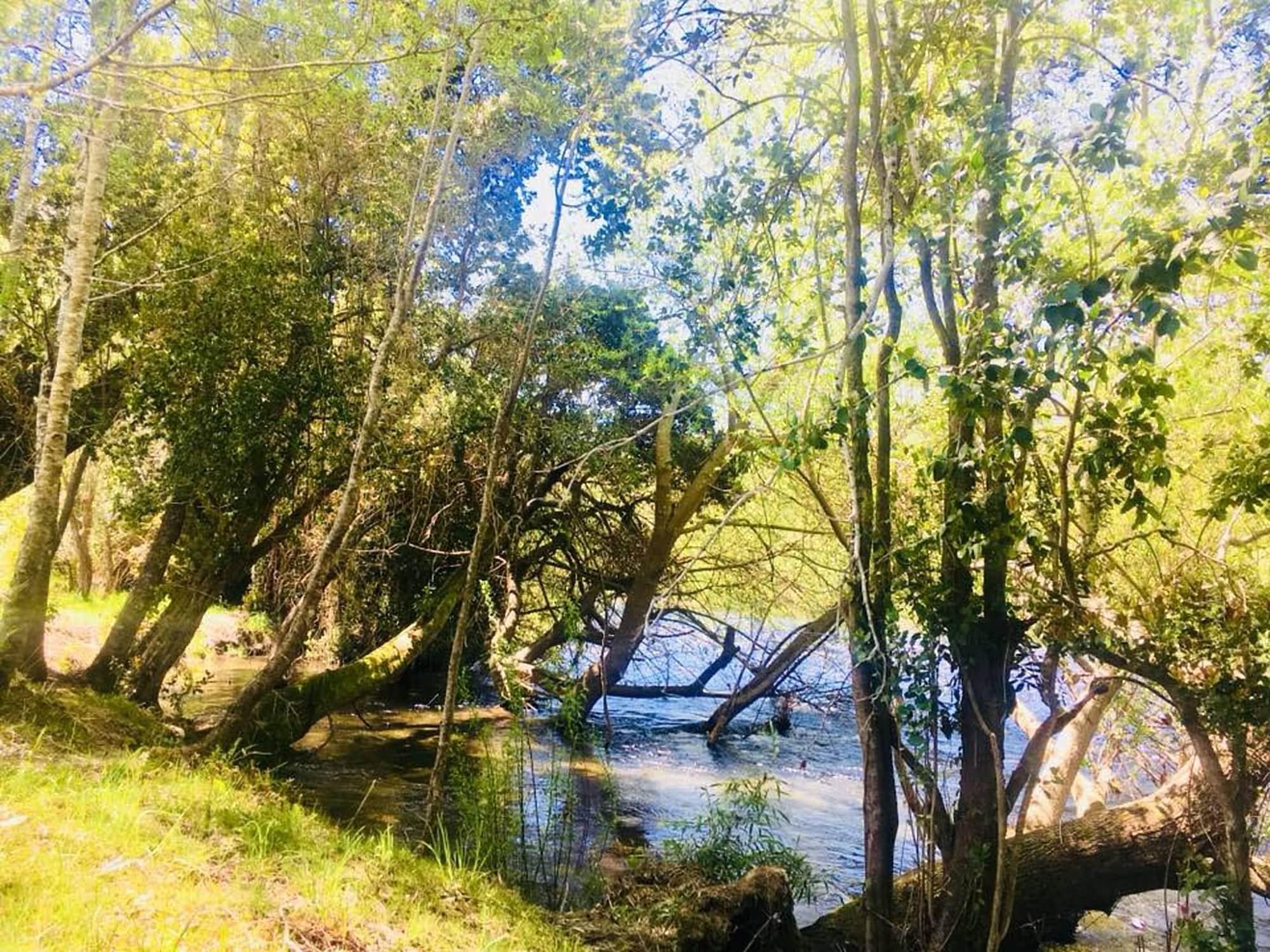 Playa Elementos Eco Lodge