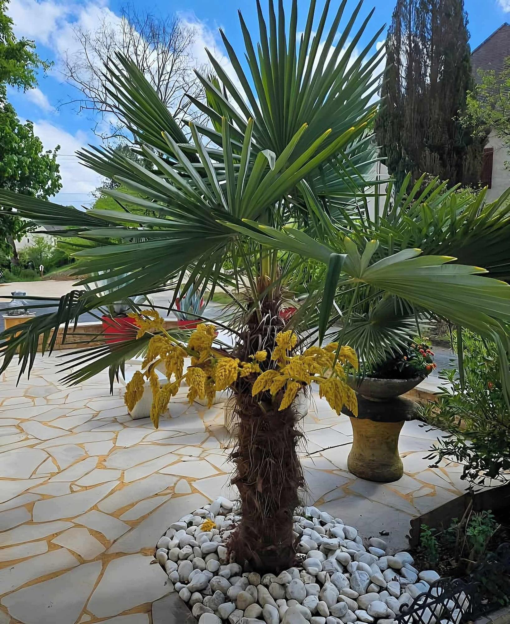 Vista Exterior La Bayardine