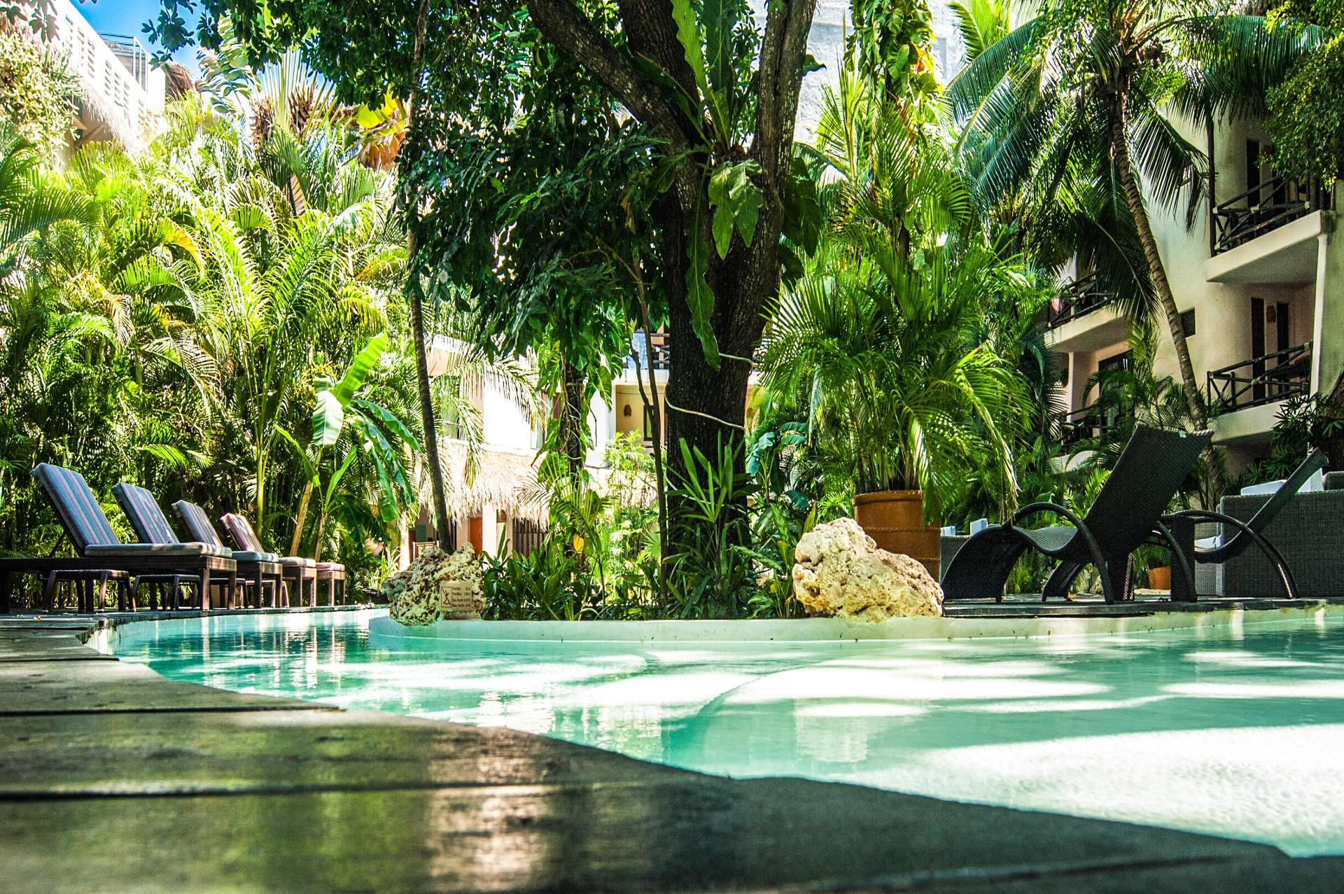 Vista Piscina La Tortuga Hotel & SPA