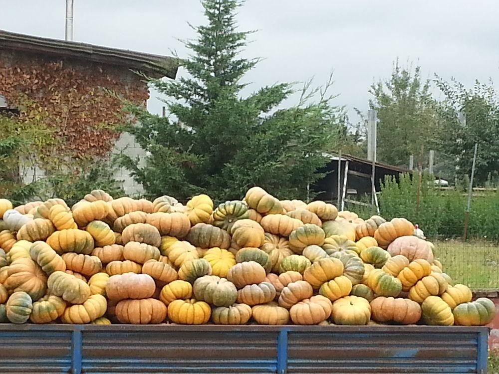 Vista Exterior La Fattoria del Boschetto