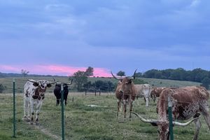 Alojamiento - Travel Trailer Farm Getaway!