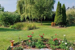 Alojamiento - Johnnys Bed & Breakfast