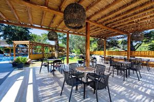 Alojamiento - Trees Art Hotel & Suites