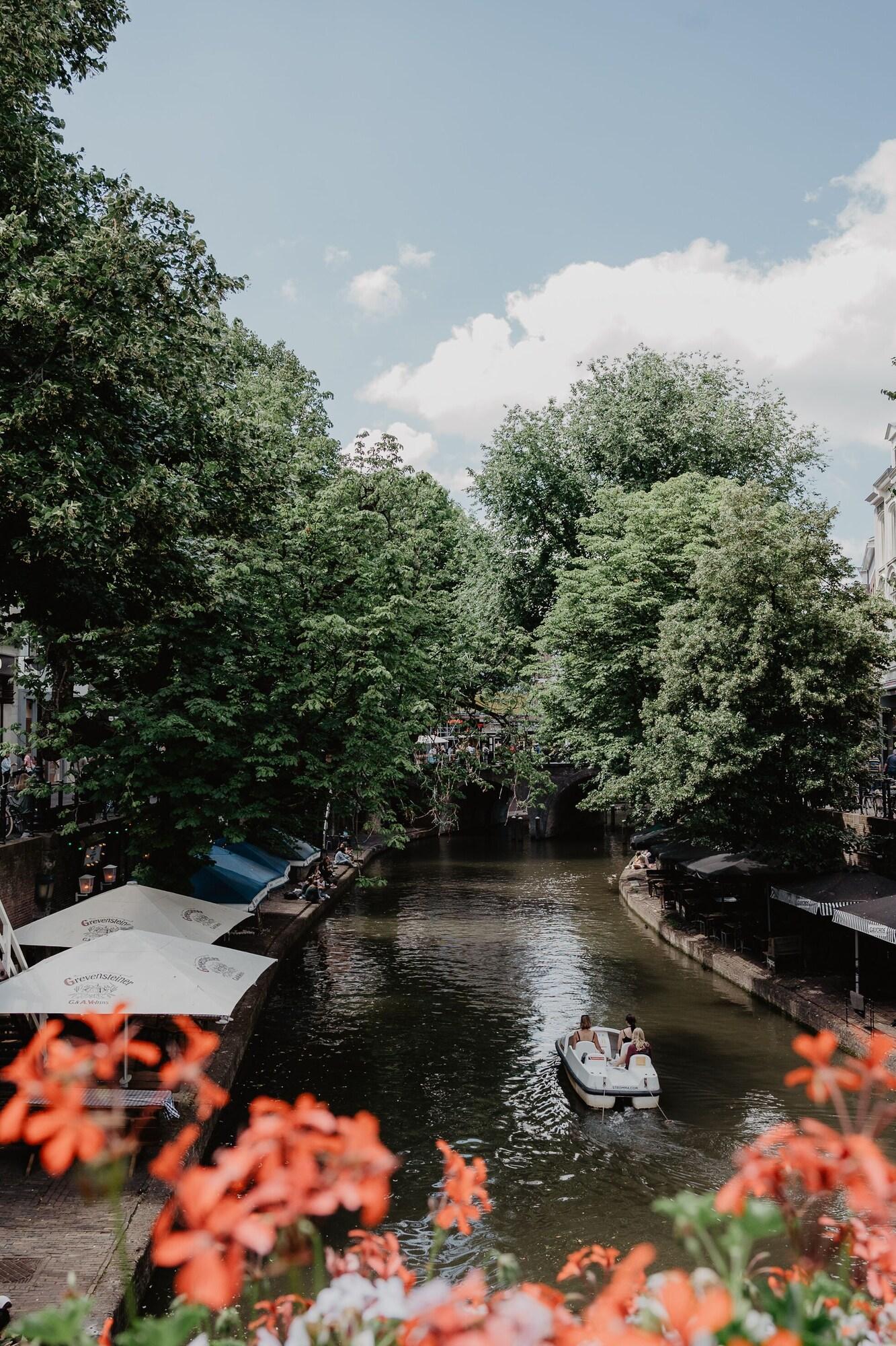 Vista Exterior Mother Goose Hotel