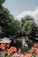 Alojamiento - Mother Goose Hotel