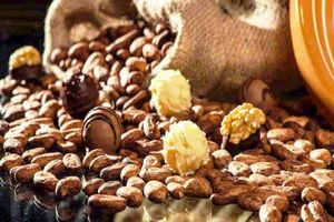 Actividad - Montañas, queso y chocolate