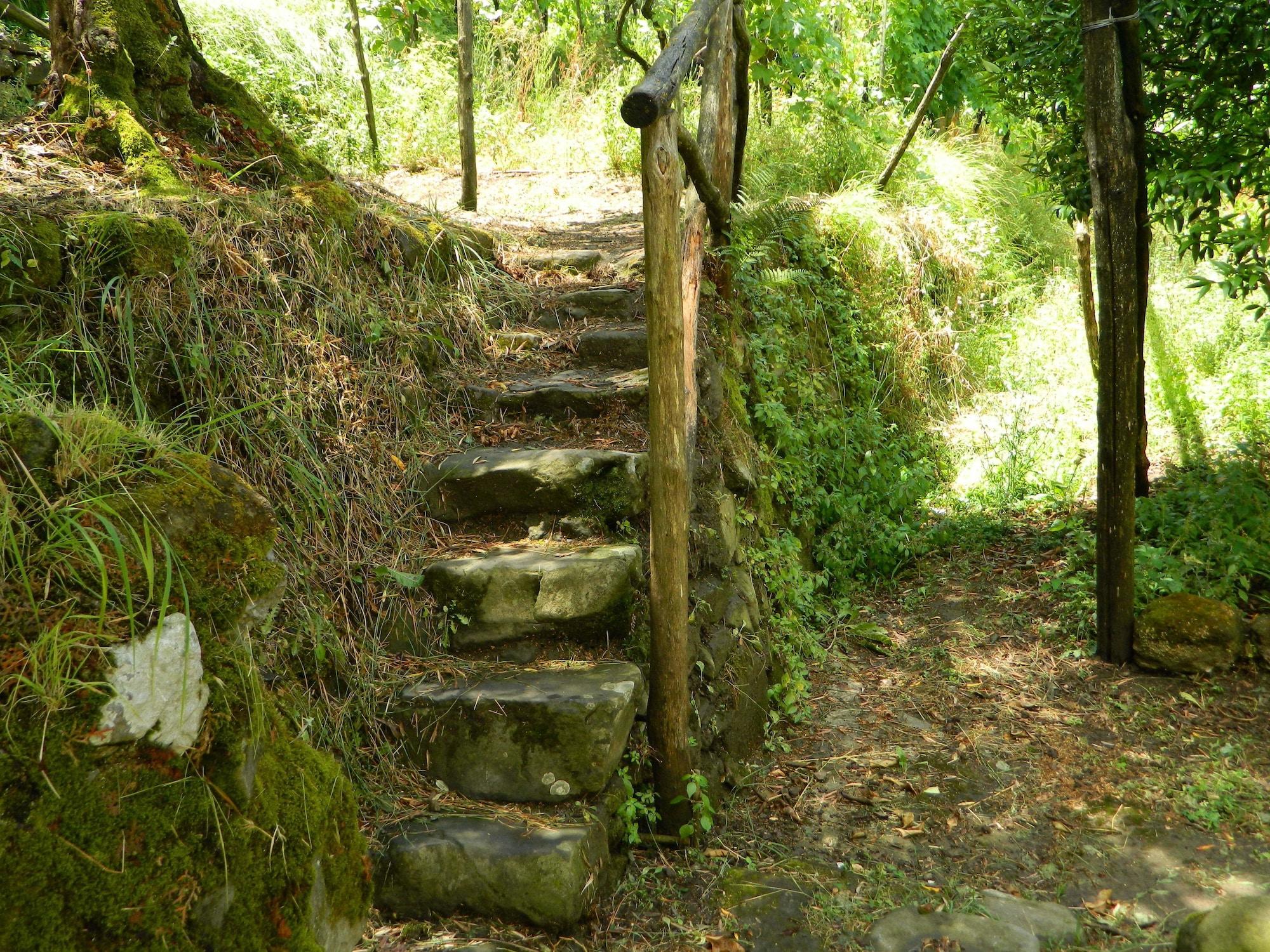 Vista Exterior Gli Ulivi Agriturismo