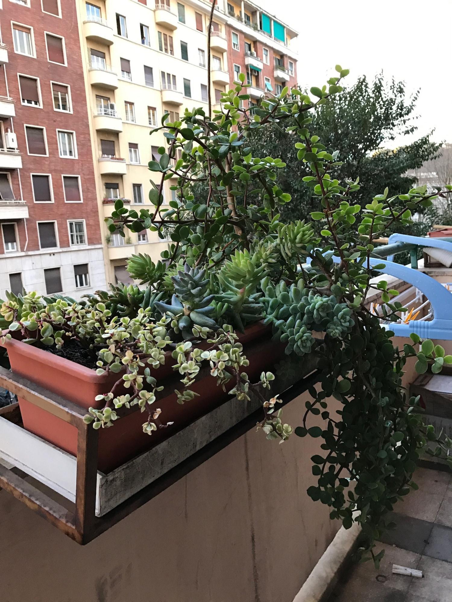 Vista Exterior Pardis
