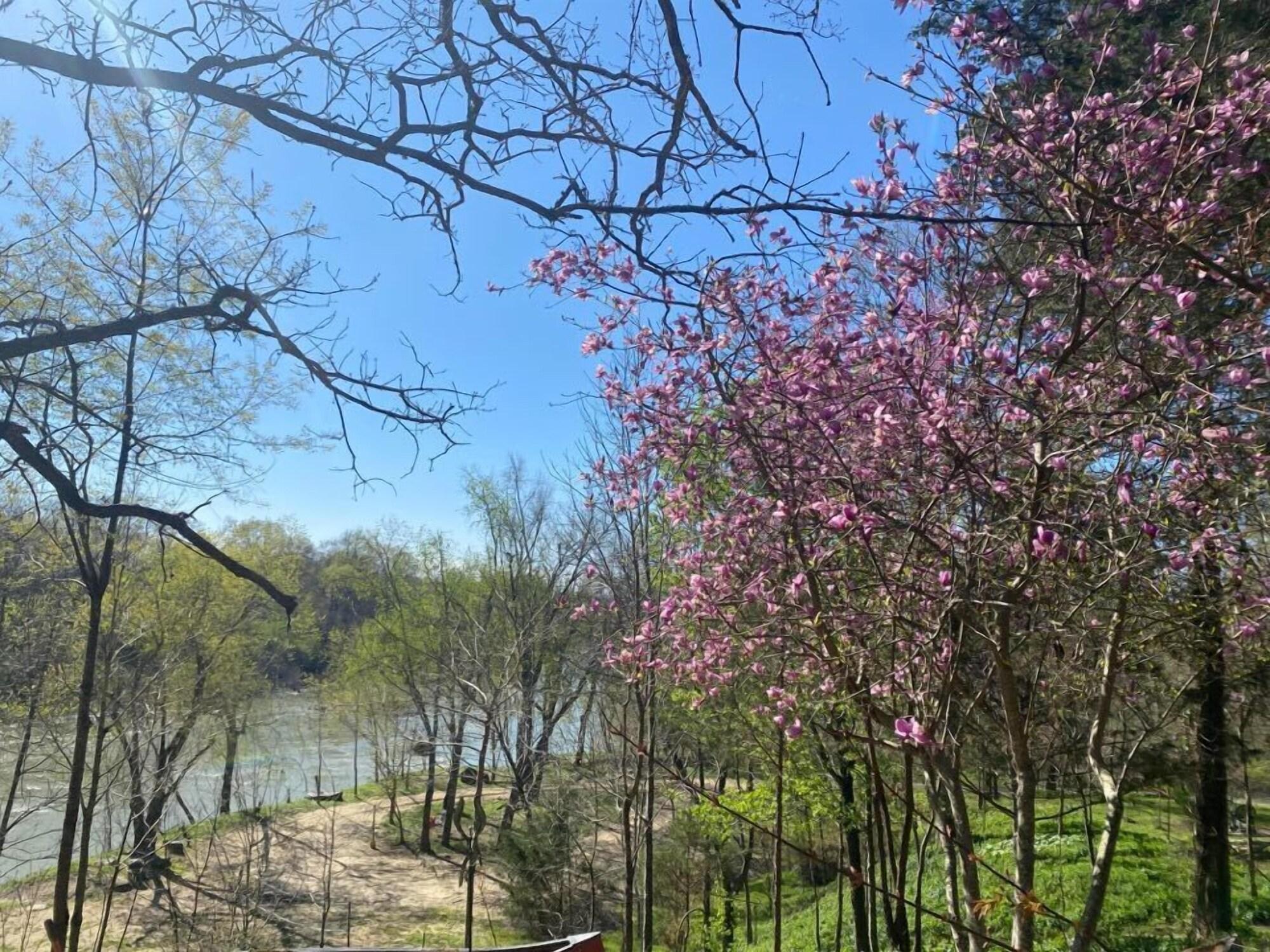 Vista Exterior Ouachita River Haven