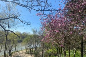 Alojamiento - Ouachita River Haven