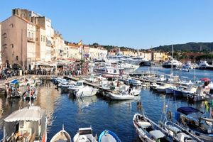 Actividad - St Tropez - Port Grimaud - Desde Niza