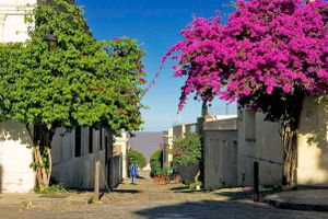 Actividad - Hop on Hop Off Colonia del Sacramento