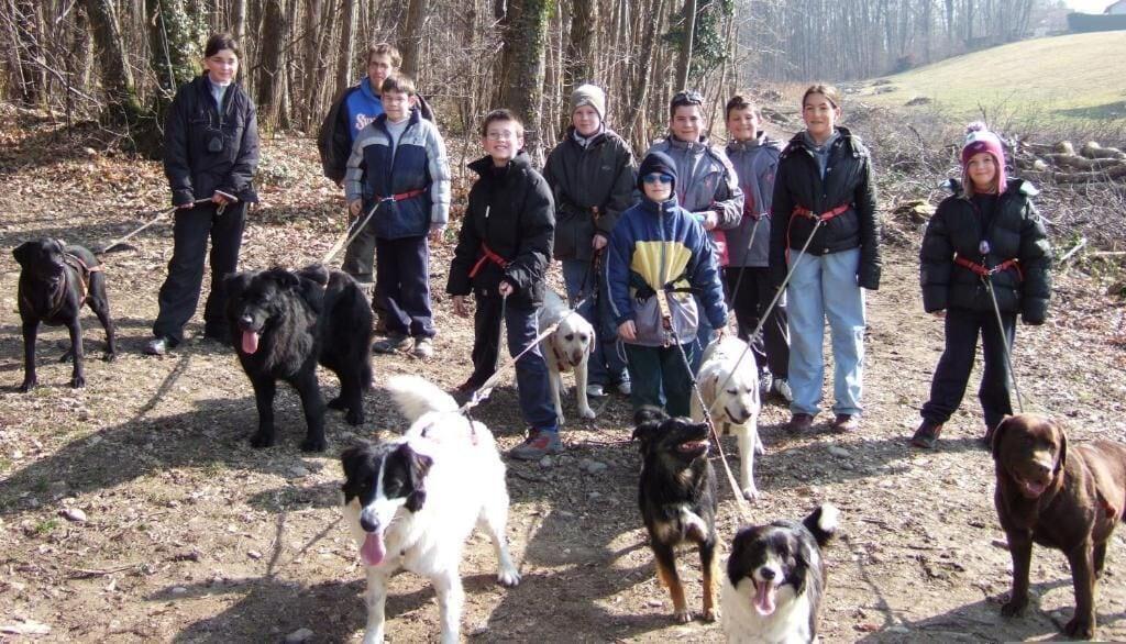 Gimnasio Réaumont Cottage Event's