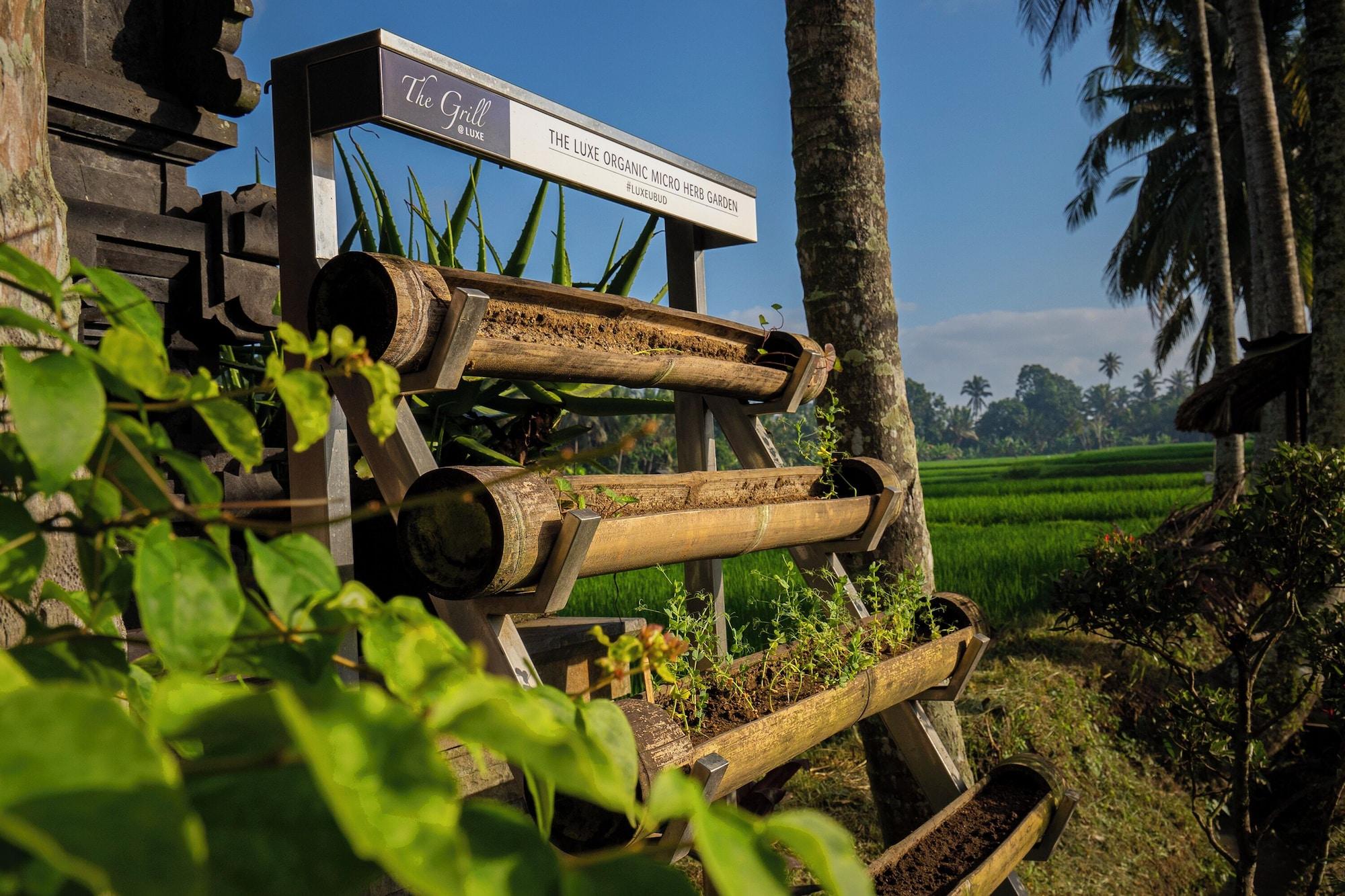Varios The LUXE Ubud, a Boutique Hotel