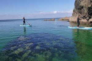 Alquiler Vacacional - 1bed Cottage Sleeps 2 - Enclosed Garden, Pets, Bbq