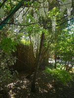 Alojamiento - Hôtel Victor Hugo