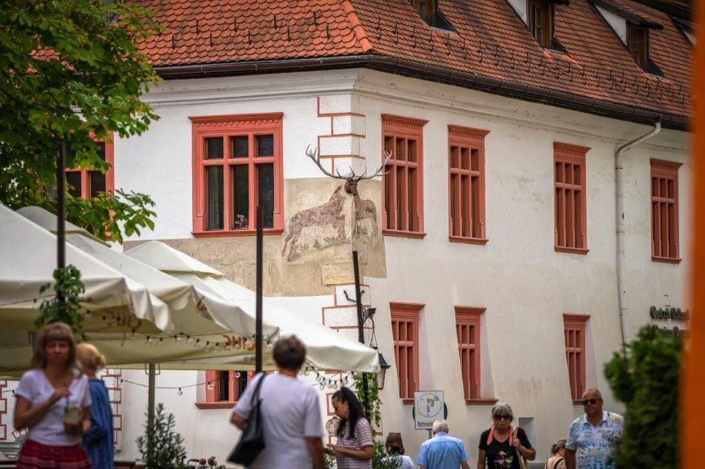 Vista Exterior Casa cu Cerb