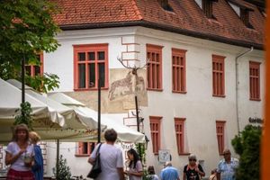 Alojamiento - Casa cu Cerb