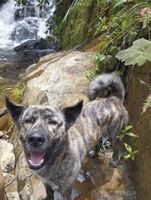 Alojamiento - Biohotel Ecohouse