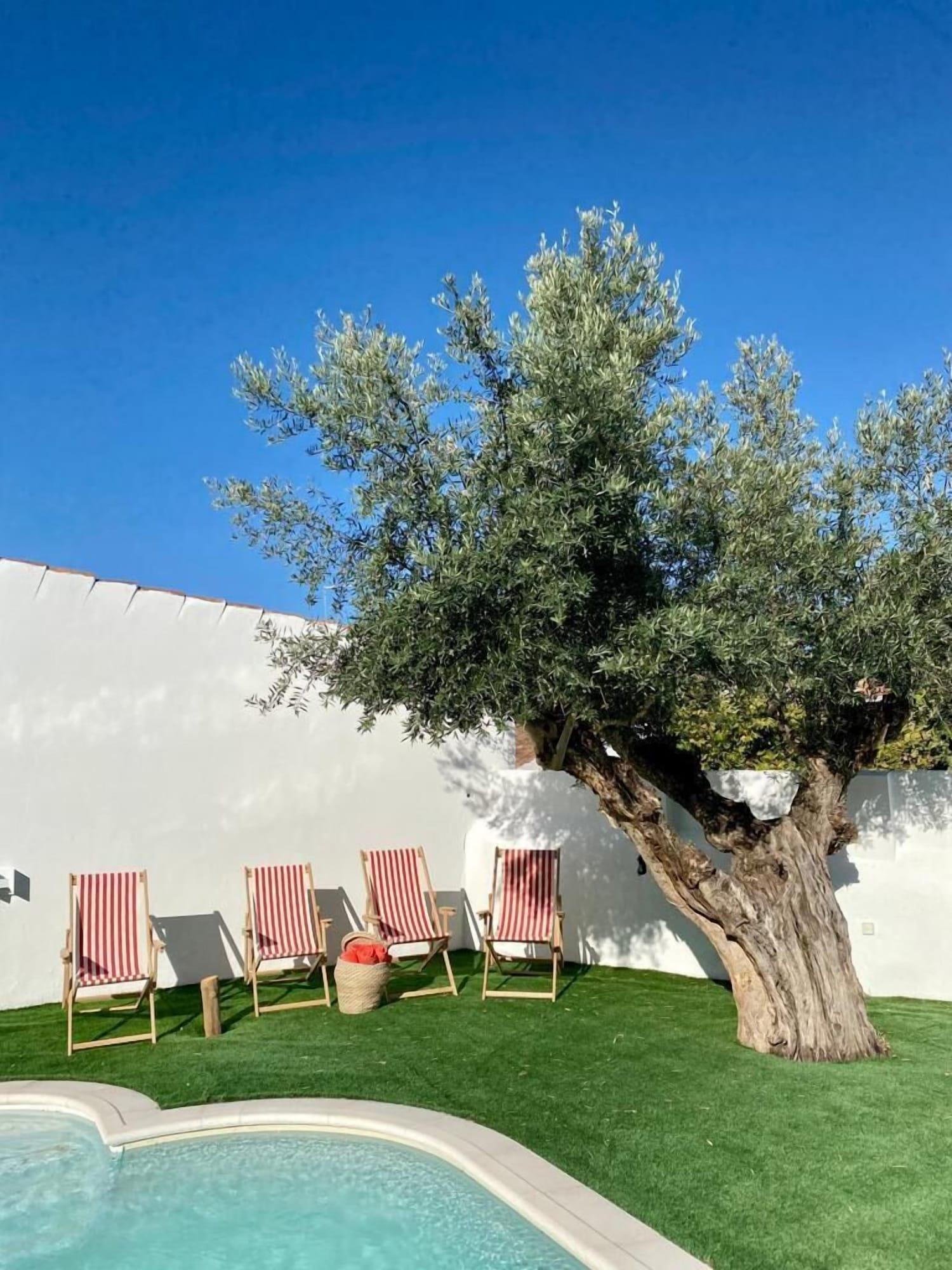 Vista Piscina Solar de Arraiolos