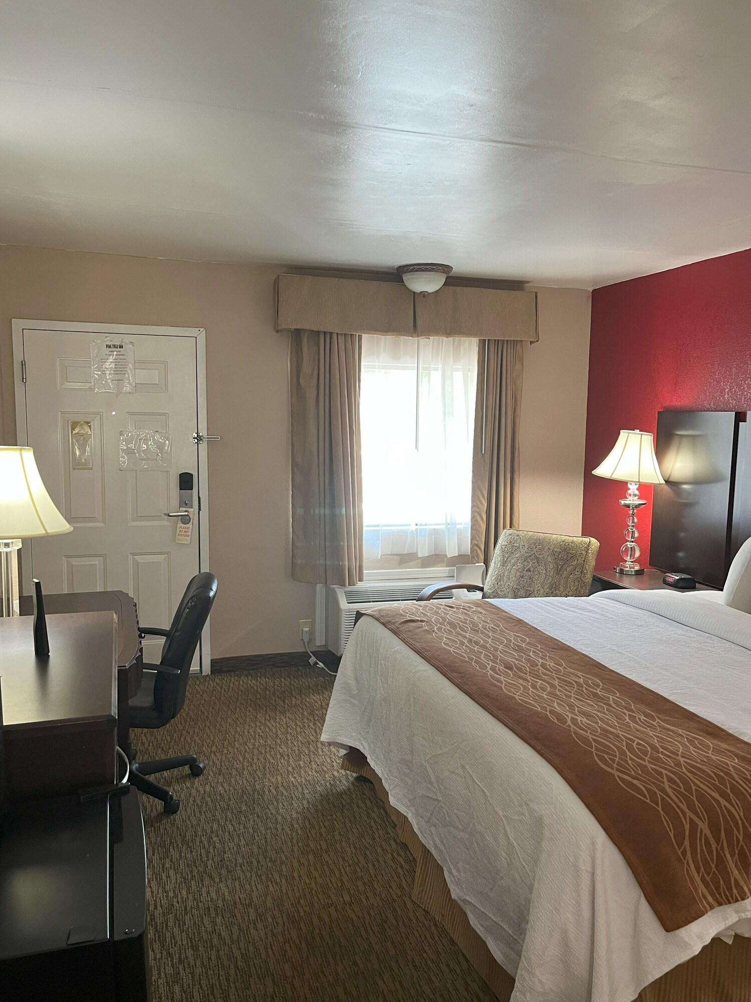 Set de Habitación Pine Tree Inn