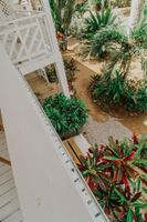 Alojamiento - Mosquito Boutique Hotel