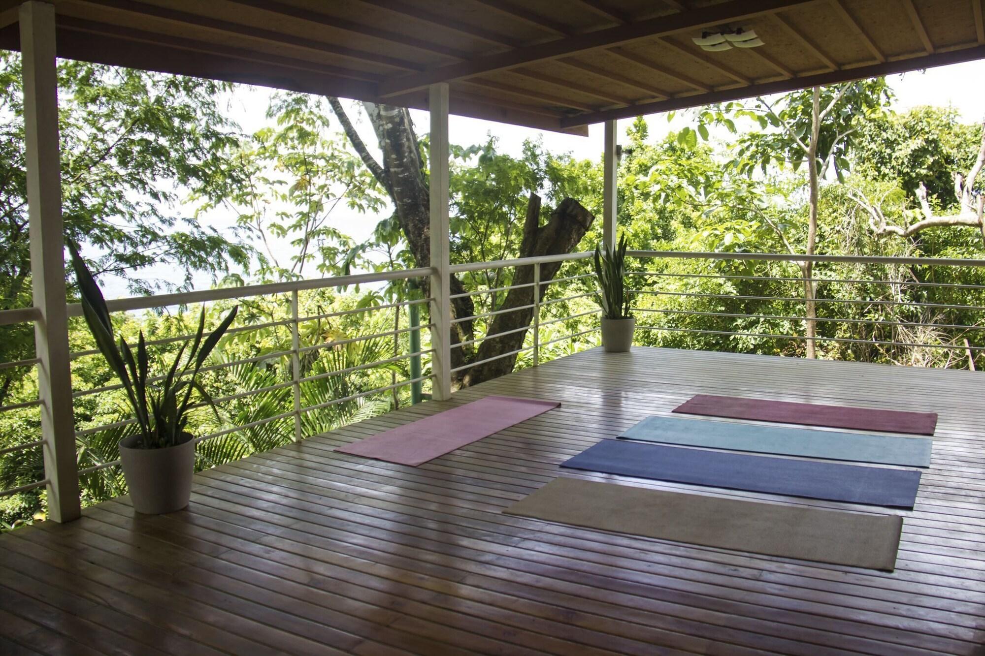 Equipamiento de Habitación Sunshine Sanctuary