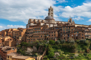Actividad - Tour por los Pueblos Medievales de Siena y Vínicola