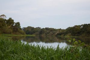 Alojamiento - Jene Shobo Ecolodge Amazónico