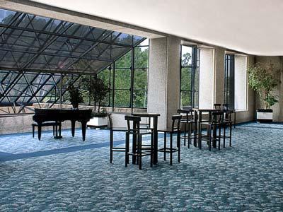 Hotel Hotel Royal Pedregal