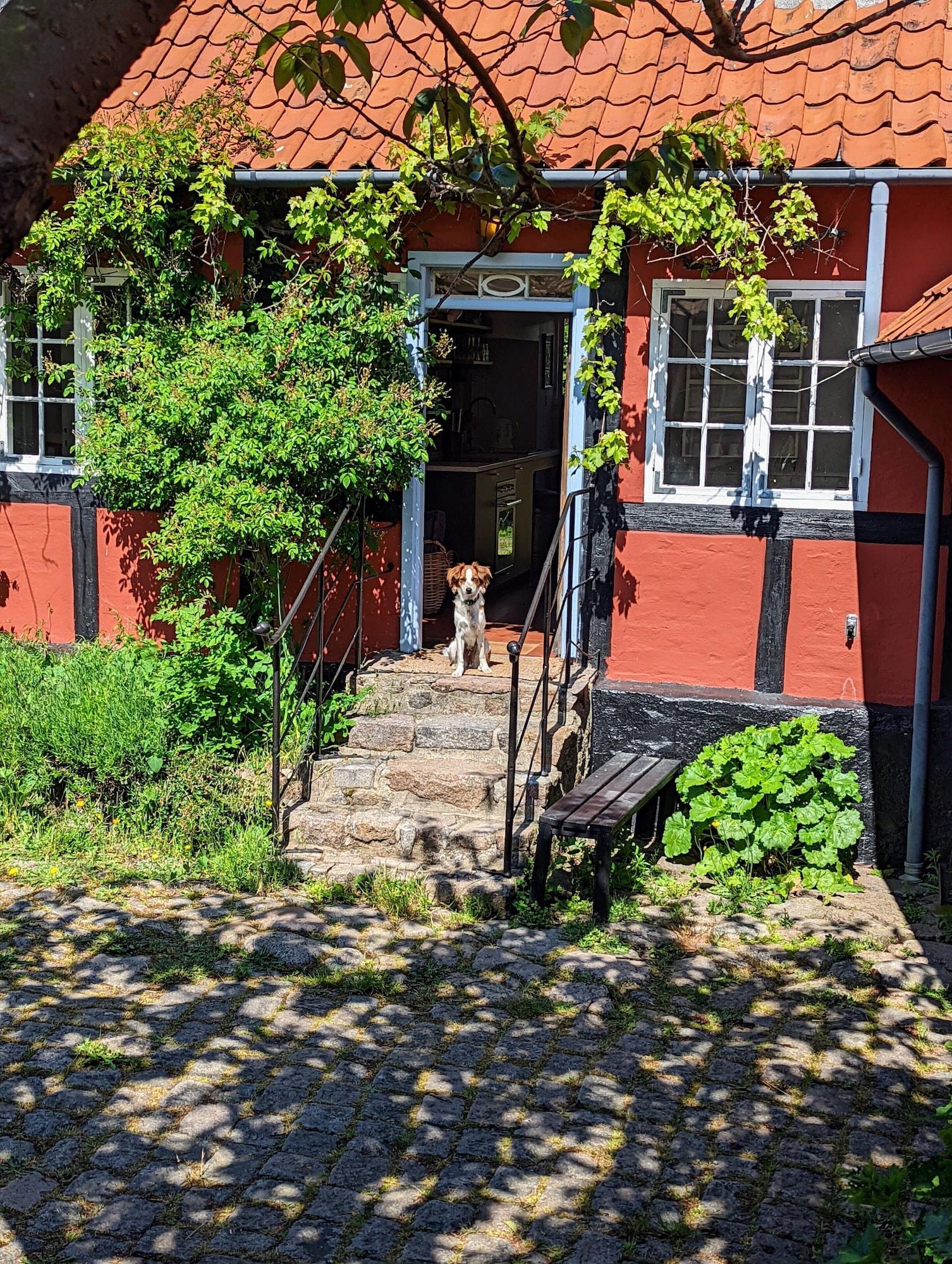 Vista Exterior Næsgaarden Pensionat