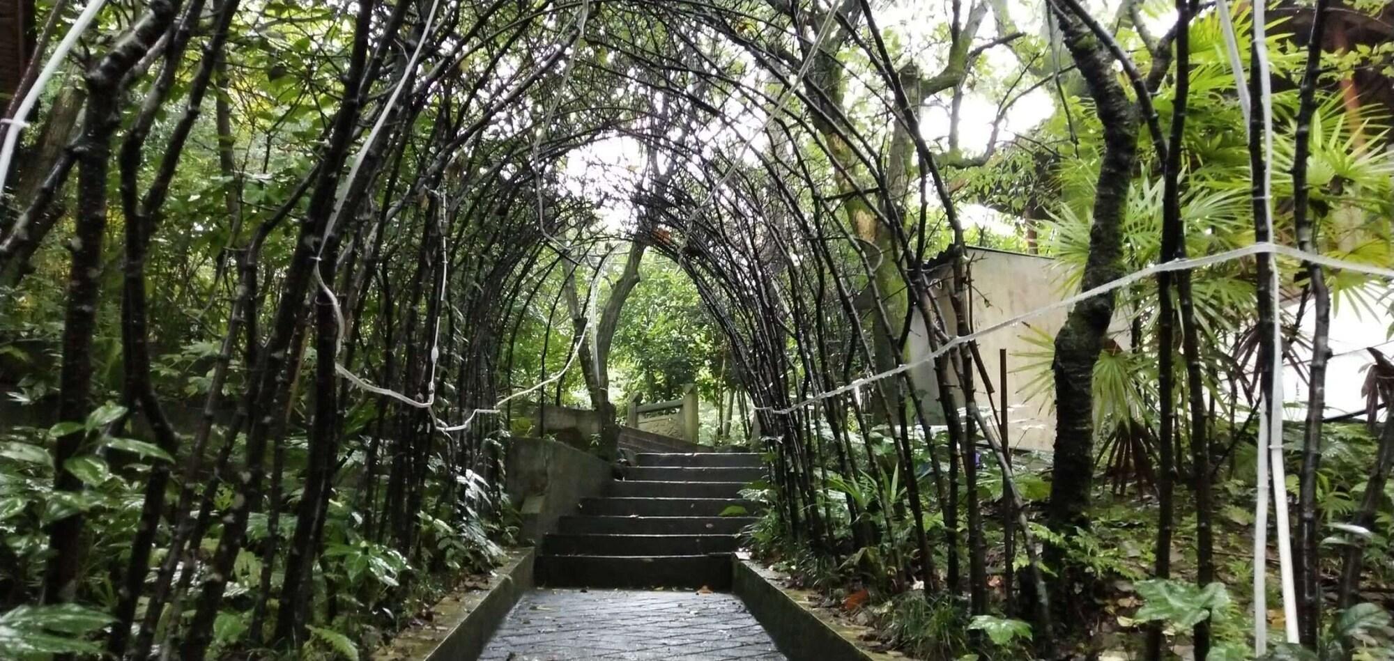 Varios Jingheyuan Mianzhu