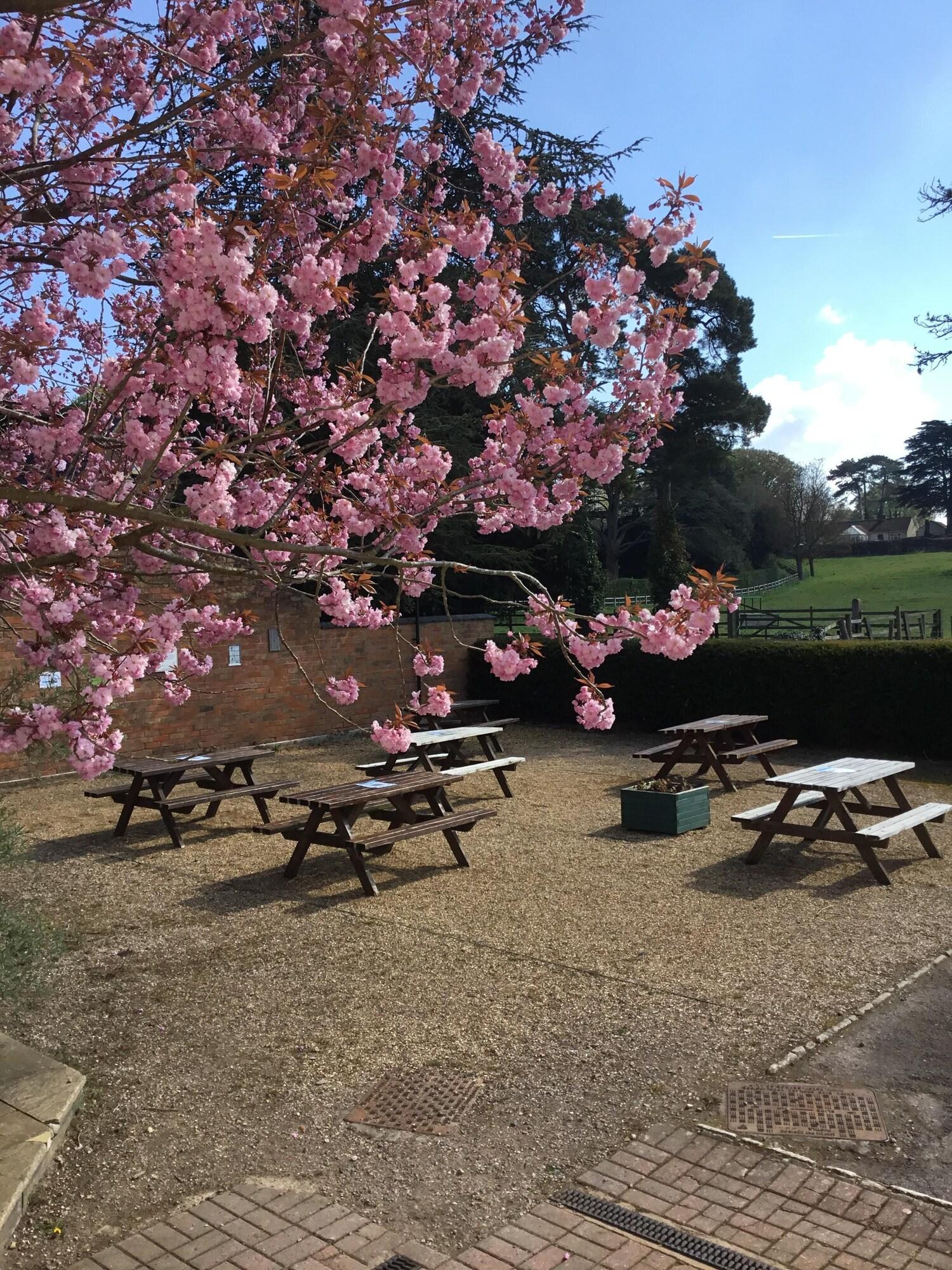 Comodidades del Alojamiento The Cheney Arms