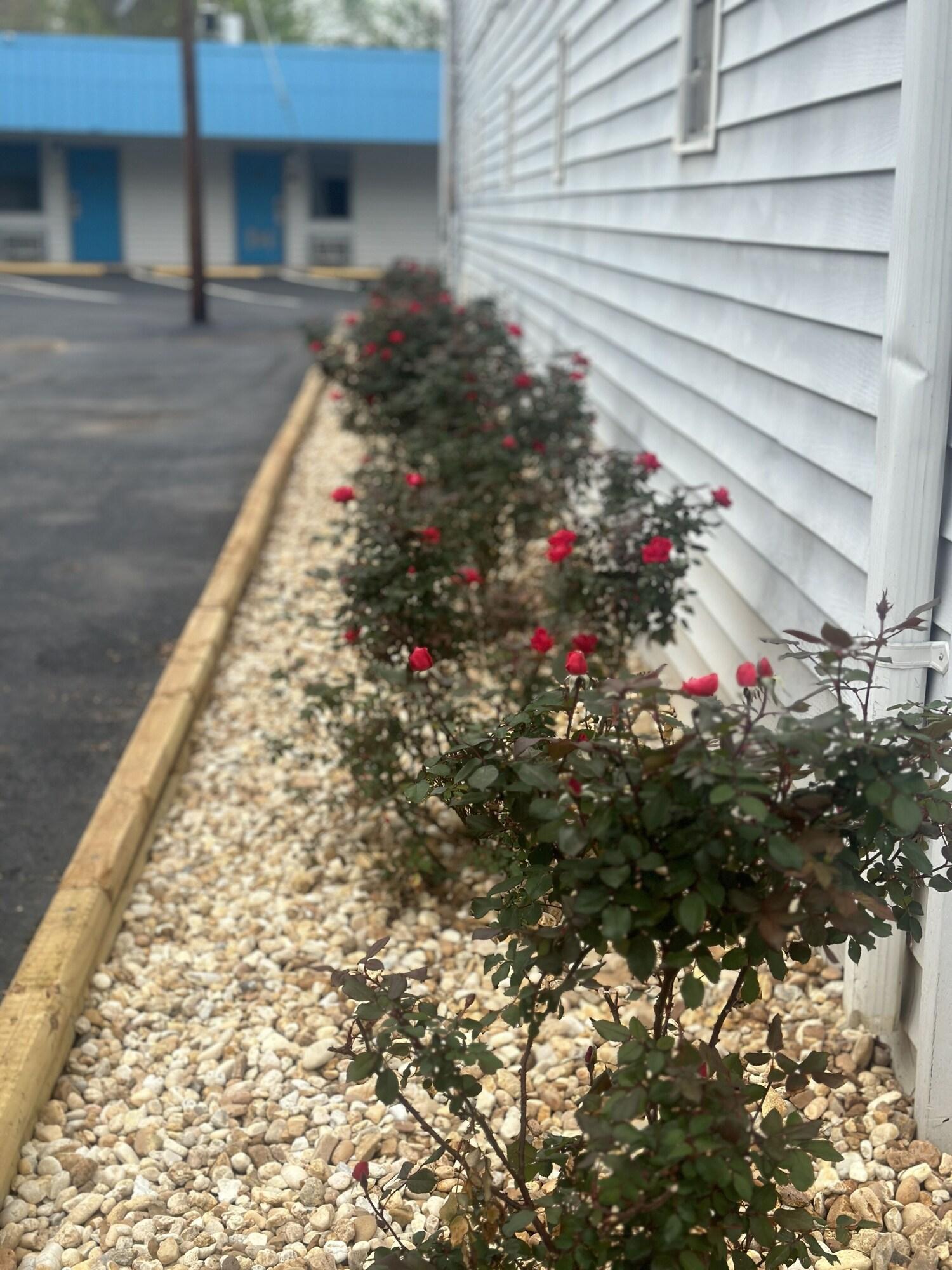 Vista Exterior Green Garden Inn