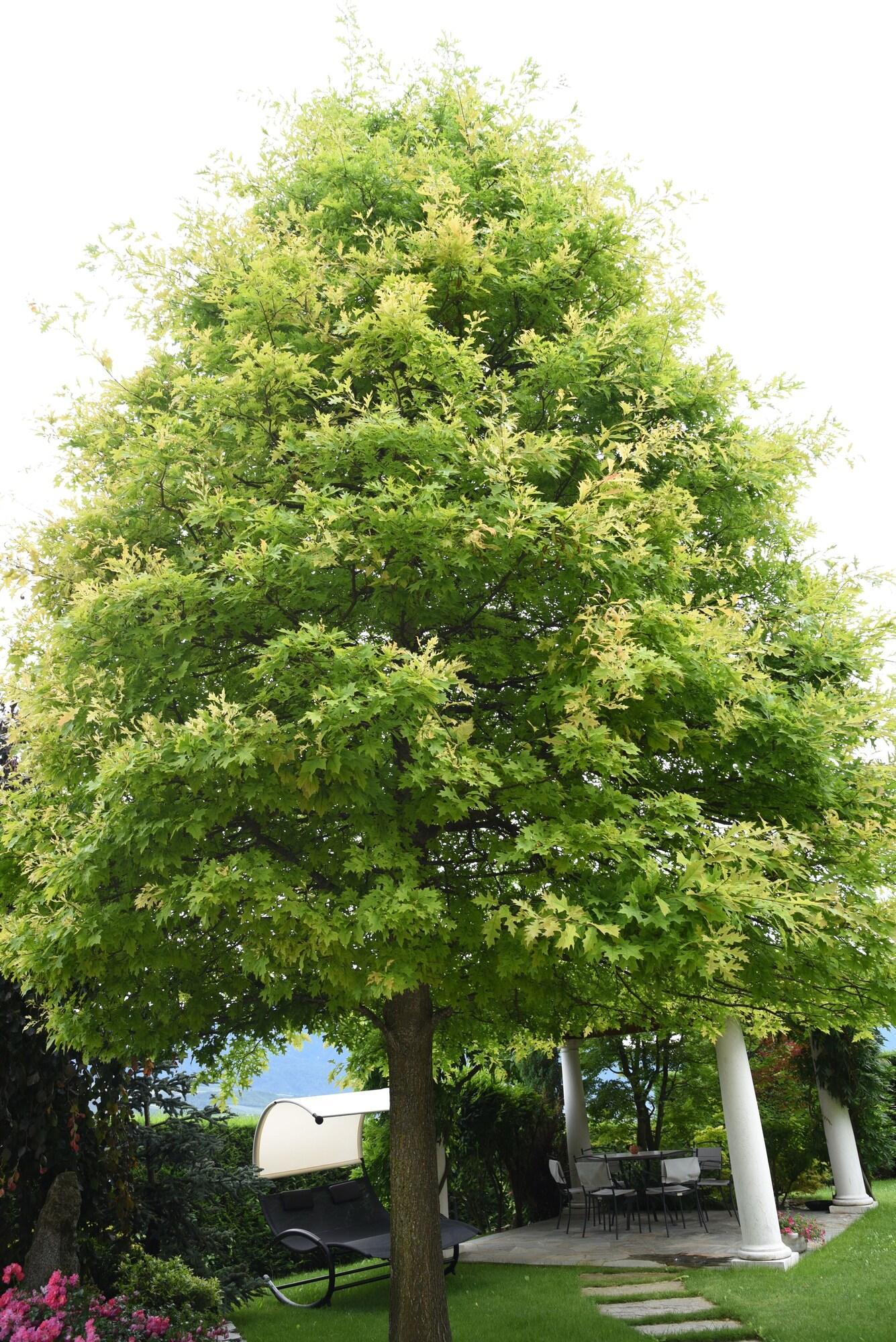 Varios Villa Quercia