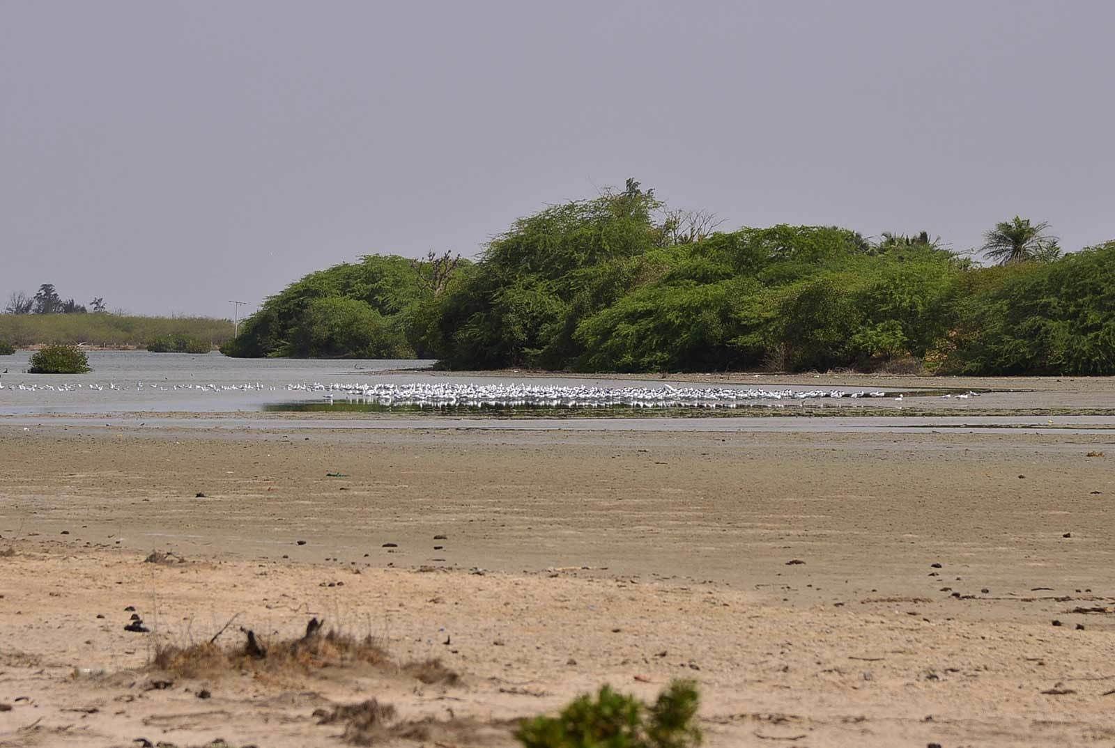 Playa Ecolodge de Palmarin
