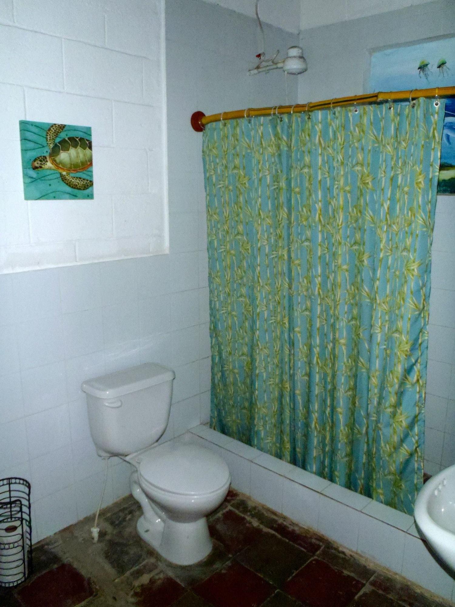 Equipamiento de Habitación Hammock Plantation - Hostel