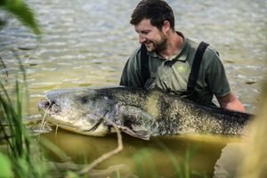 Alquiler Vacacional - Erven Janovice Sckv023-ka