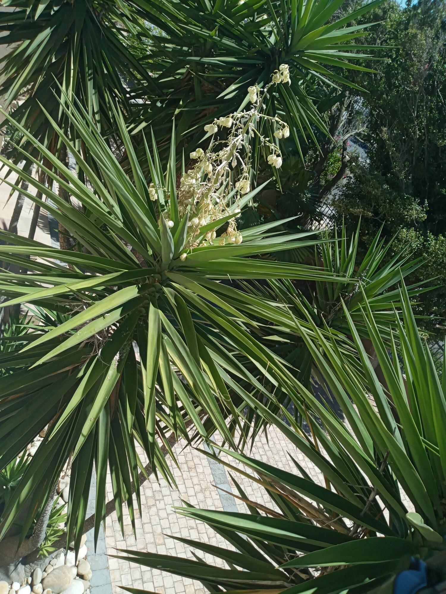 Habitación La Roche Guest House