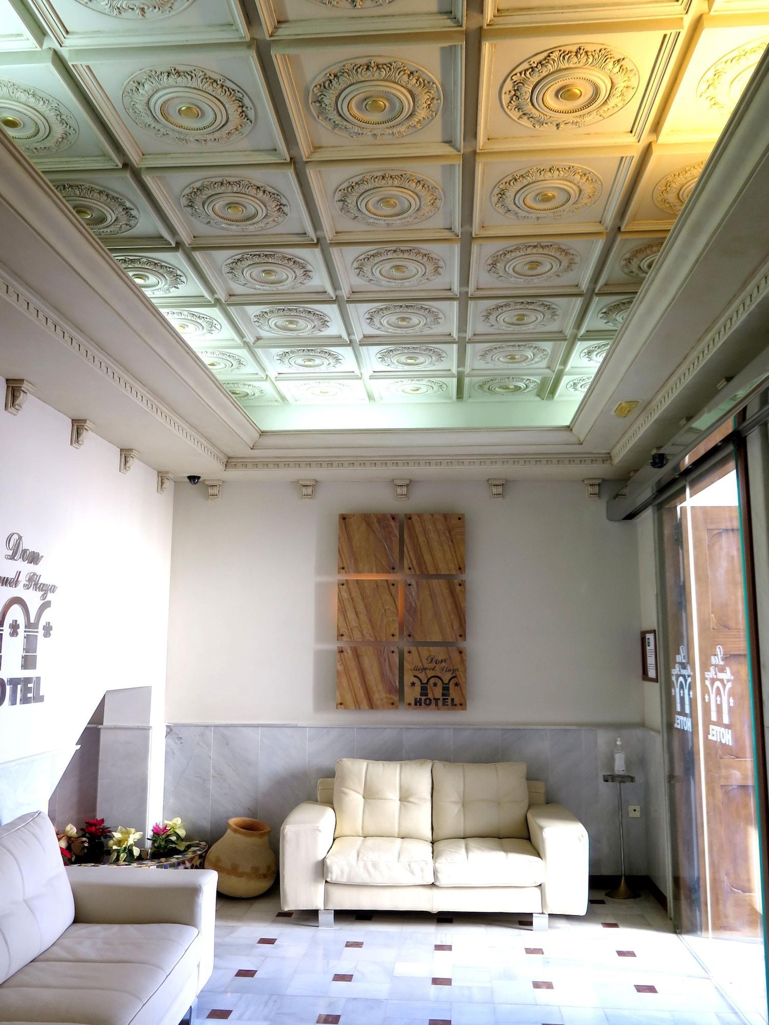 Vista Lobby Hotel Don Miguel Plaza