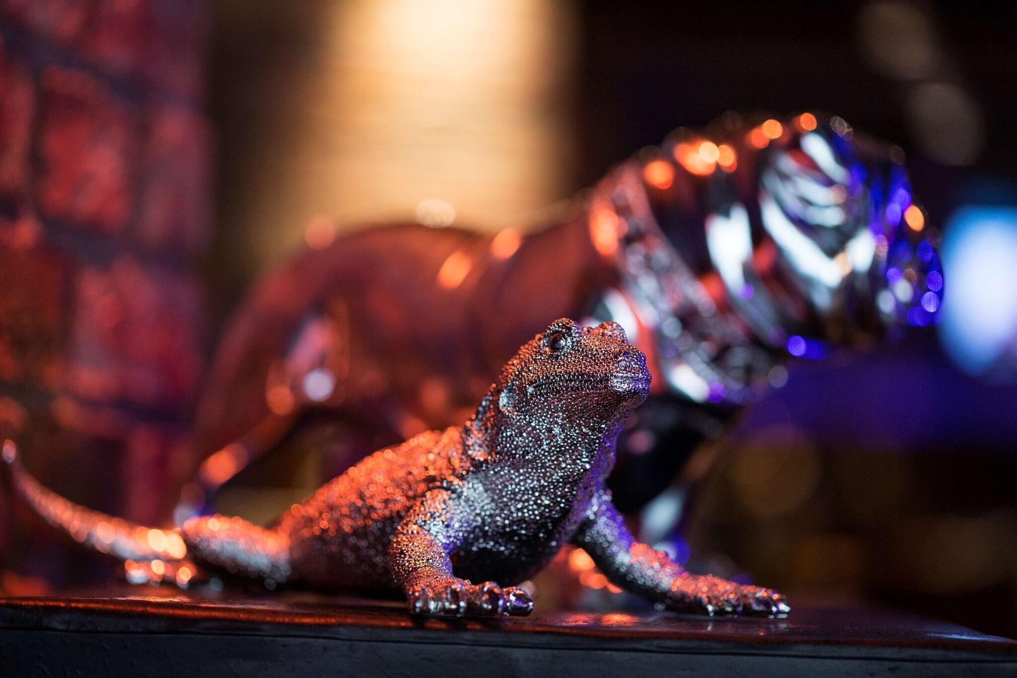 Instalaciones Recreativas pentahotel Liège